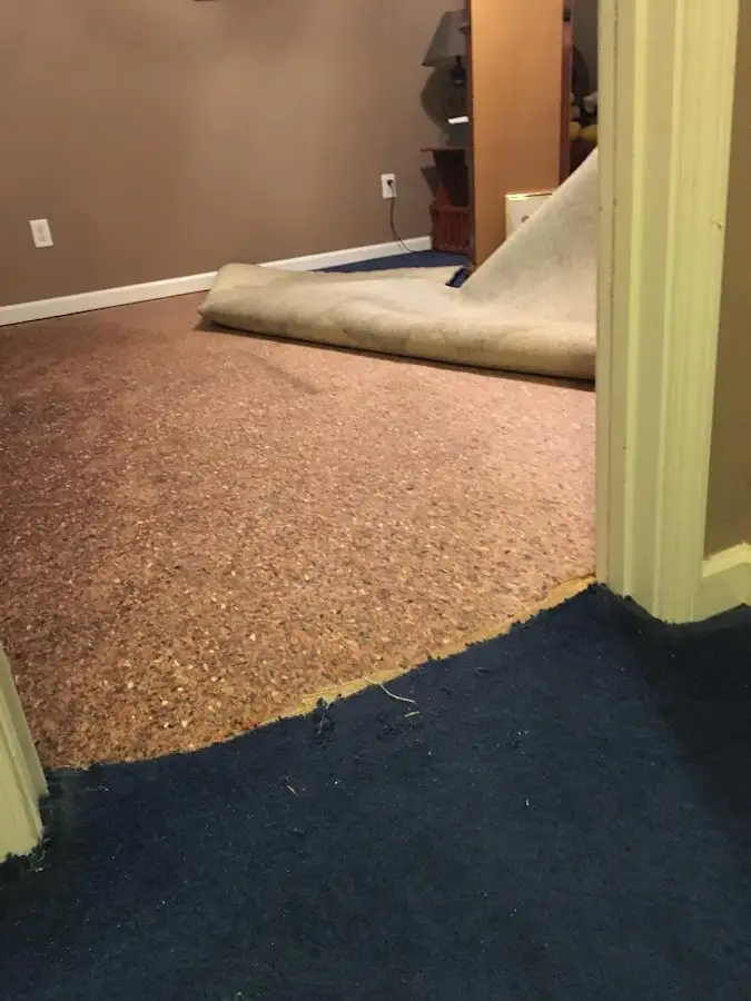 Carpet pad removal revealing water damage during Drying & Dehumidification in Immokalee