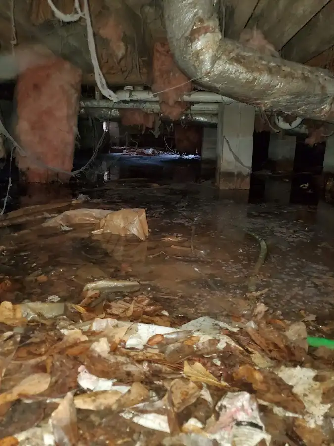 Crawl space flood assessment for Leak Detection & Repair in Immokalee